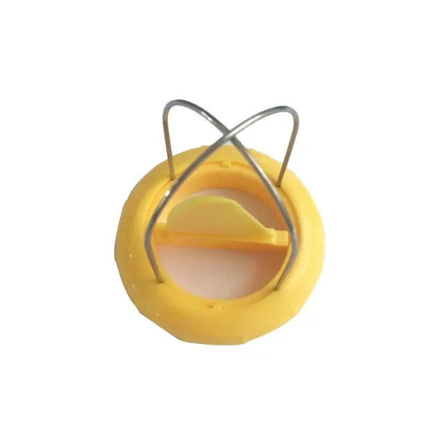 Fast Fruit Kiwi Cutter Peeler